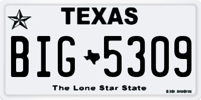 TX license plate BIG5309