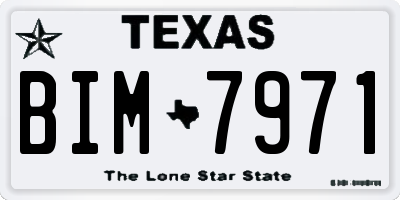 TX license plate BIM7971