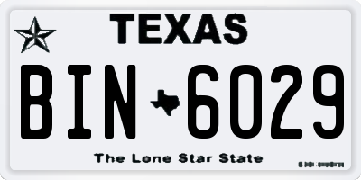 TX license plate BIN6029