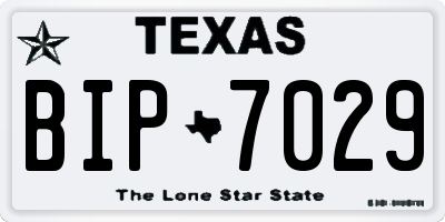 TX license plate BIP7029