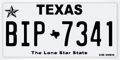 TX license plate BIP7341