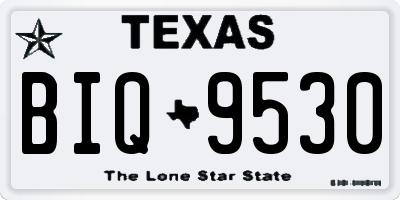 TX license plate BIQ9530