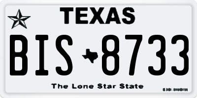 TX license plate BIS8733