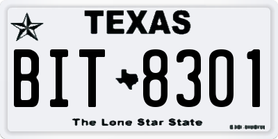 TX license plate BIT8301