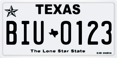 TX license plate BIU0123