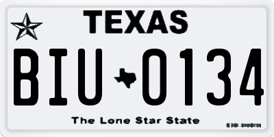 TX license plate BIU0134