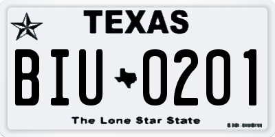 TX license plate BIU0201