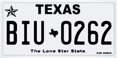 TX license plate BIU0262