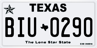TX license plate BIU0290