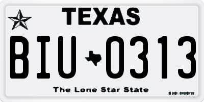 TX license plate BIU0313