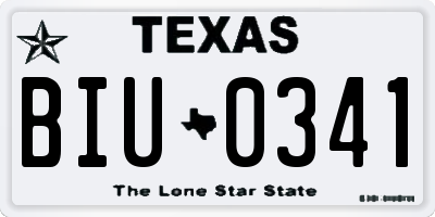 TX license plate BIU0341