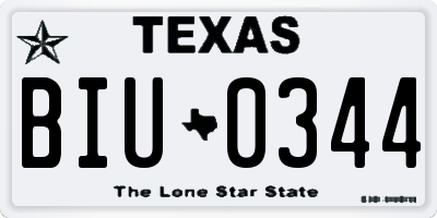 TX license plate BIU0344