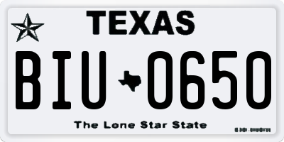 TX license plate BIU0650