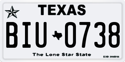 TX license plate BIU0738