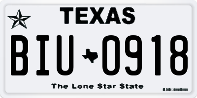 TX license plate BIU0918