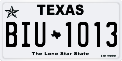 TX license plate BIU1013