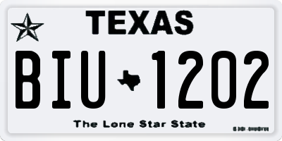 TX license plate BIU1202
