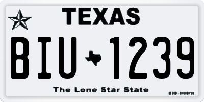 TX license plate BIU1239