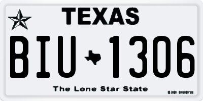TX license plate BIU1306