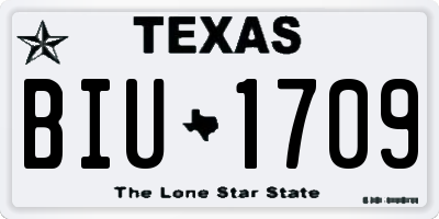 TX license plate BIU1709