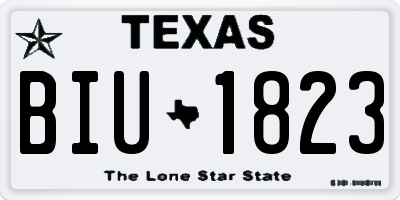 TX license plate BIU1823