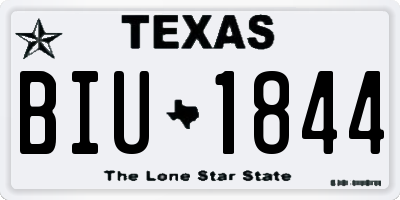 TX license plate BIU1844