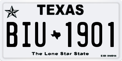TX license plate BIU1901