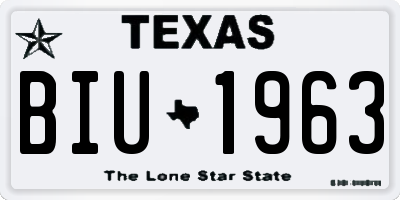 TX license plate BIU1963