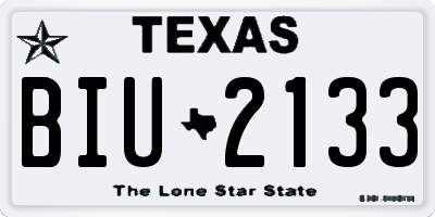 TX license plate BIU2133