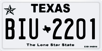 TX license plate BIU2201