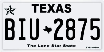 TX license plate BIU2875