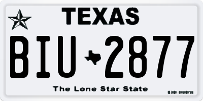 TX license plate BIU2877