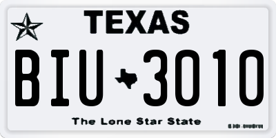 TX license plate BIU3010