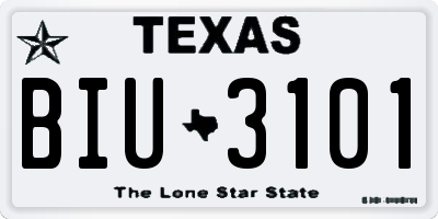 TX license plate BIU3101