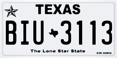 TX license plate BIU3113