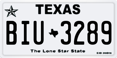 TX license plate BIU3289