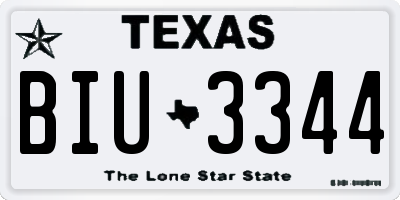 TX license plate BIU3344
