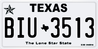 TX license plate BIU3513