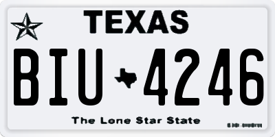 TX license plate BIU4246