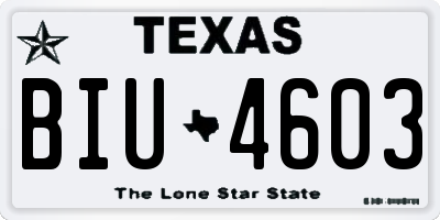 TX license plate BIU4603
