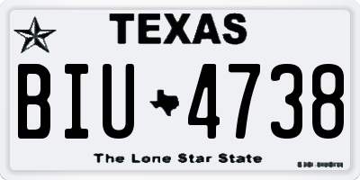 TX license plate BIU4738