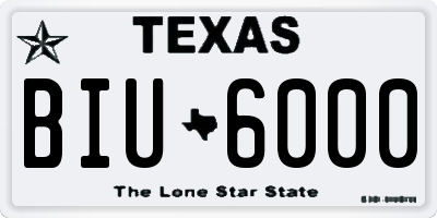 TX license plate BIU6000