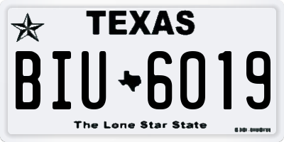 TX license plate BIU6019