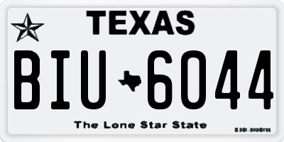TX license plate BIU6044