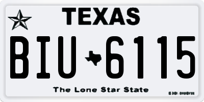 TX license plate BIU6115