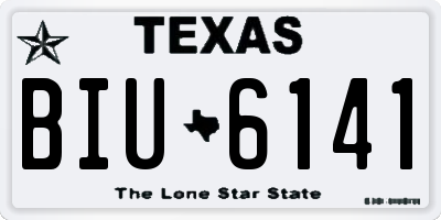 TX license plate BIU6141