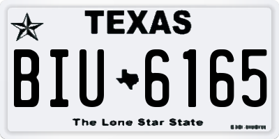 TX license plate BIU6165