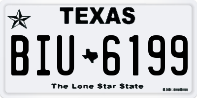 TX license plate BIU6199