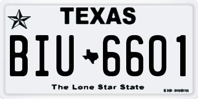 TX license plate BIU6601