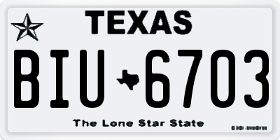 TX license plate BIU6703